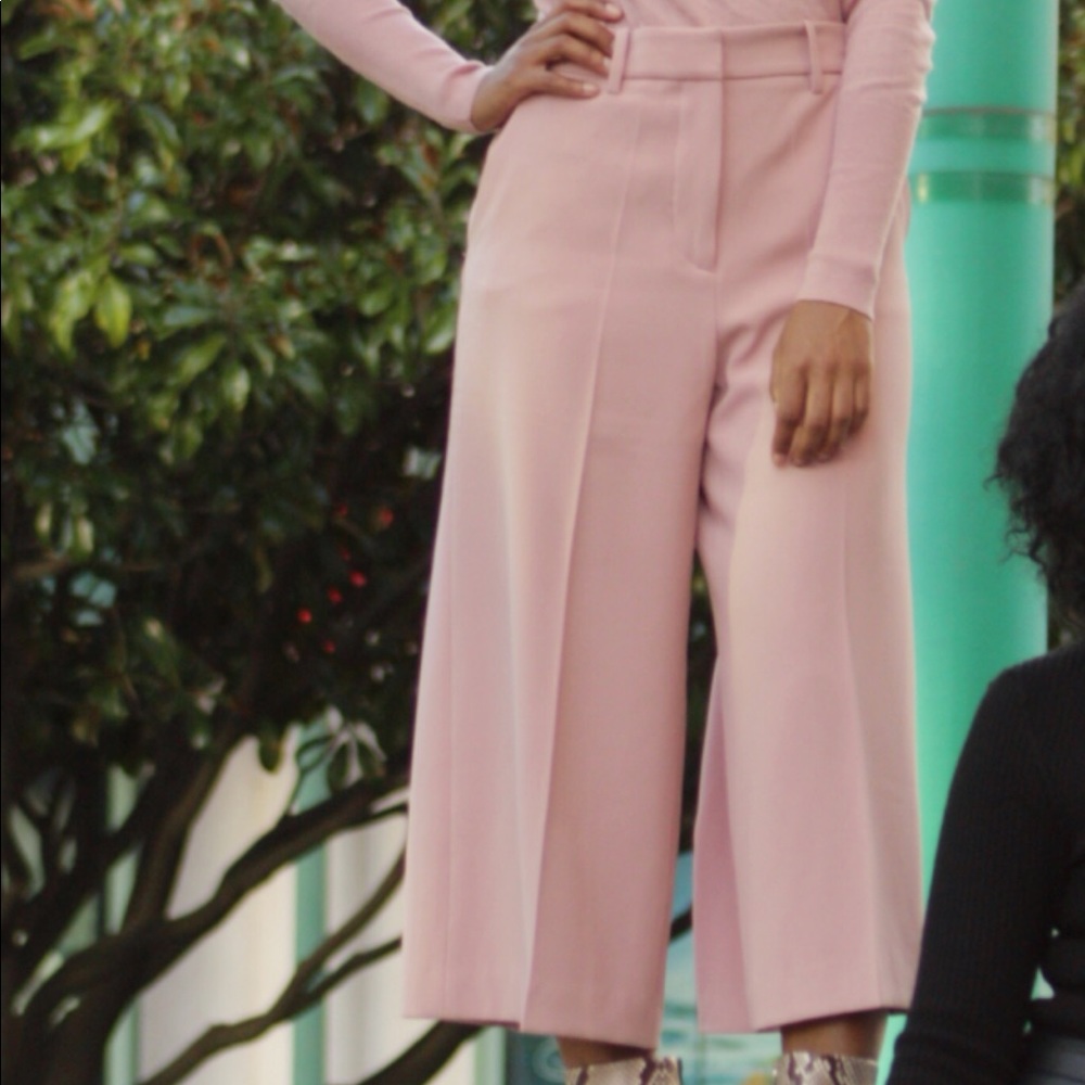 Zara culottes